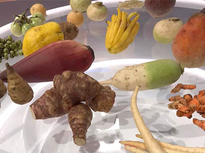 Plateau BFMTV Emission Bien cuisiner les légumes d’hiver - Frederic Jaunault Fruits Légumes